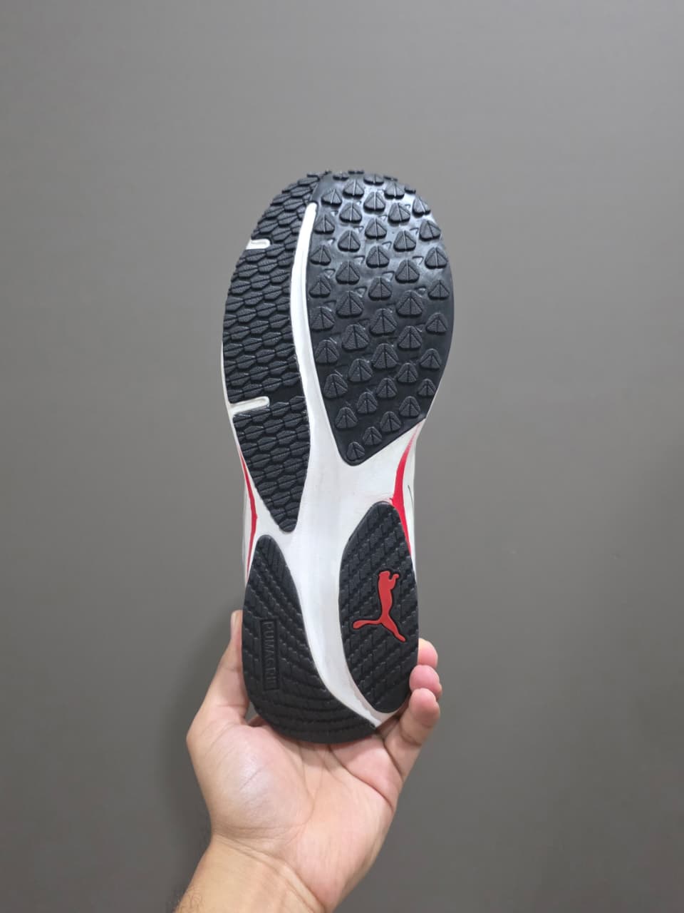 Puma
