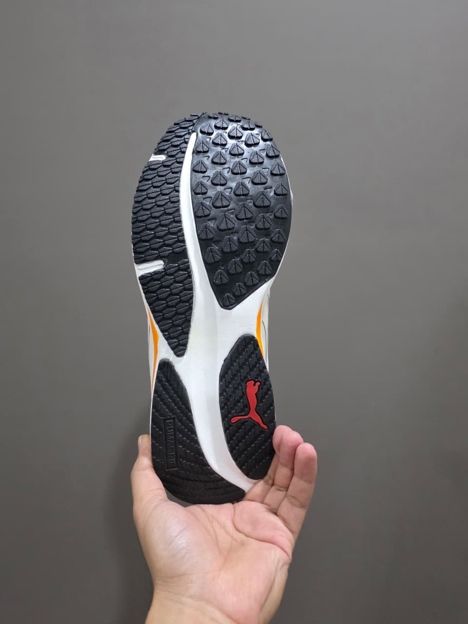 Puma