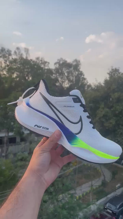 Nike Pegasus