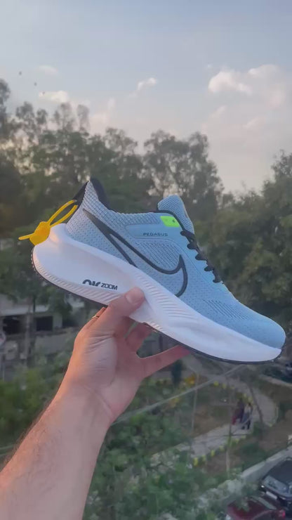 Nike Pegasus